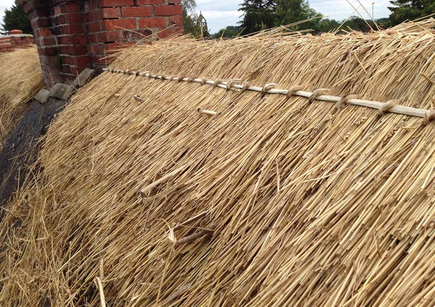 Thatching services