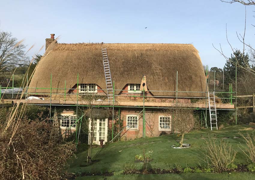 Re-thatching