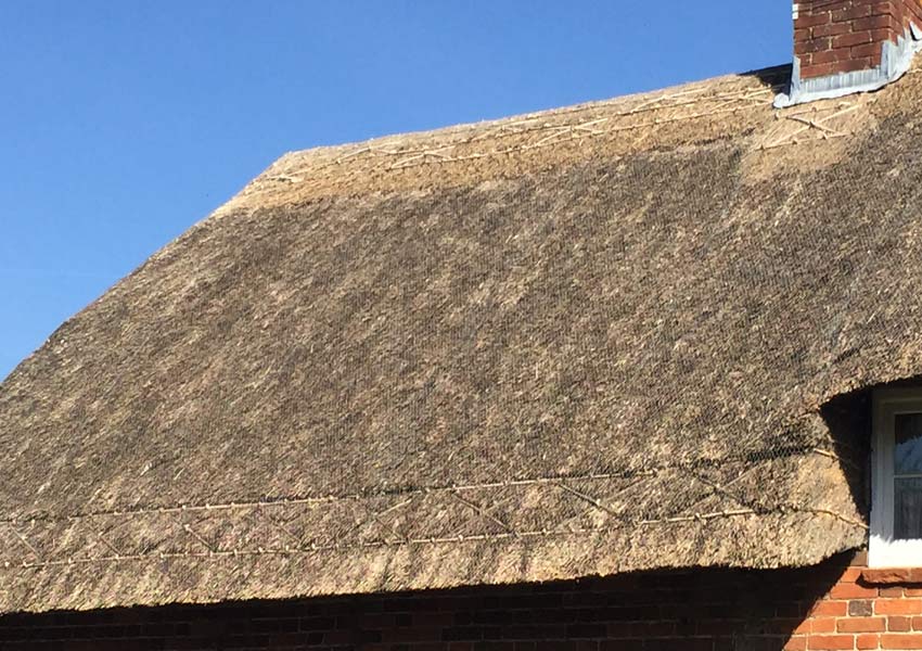 Types of thatch