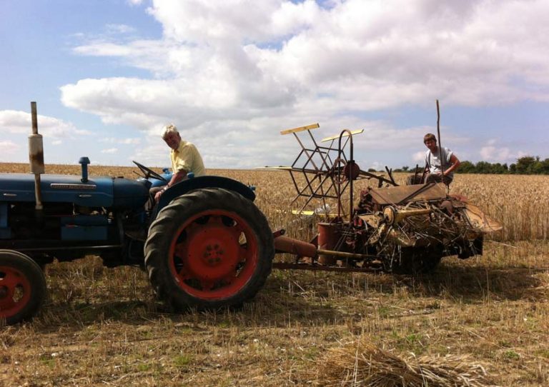 Thatching Supplies Combed Wheat Reed & Long Straw Allsop Thatching